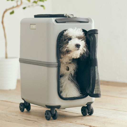 PETiCO 3001  iCO Sturdy and Versatile Pet luggage-style Carrier,M-size