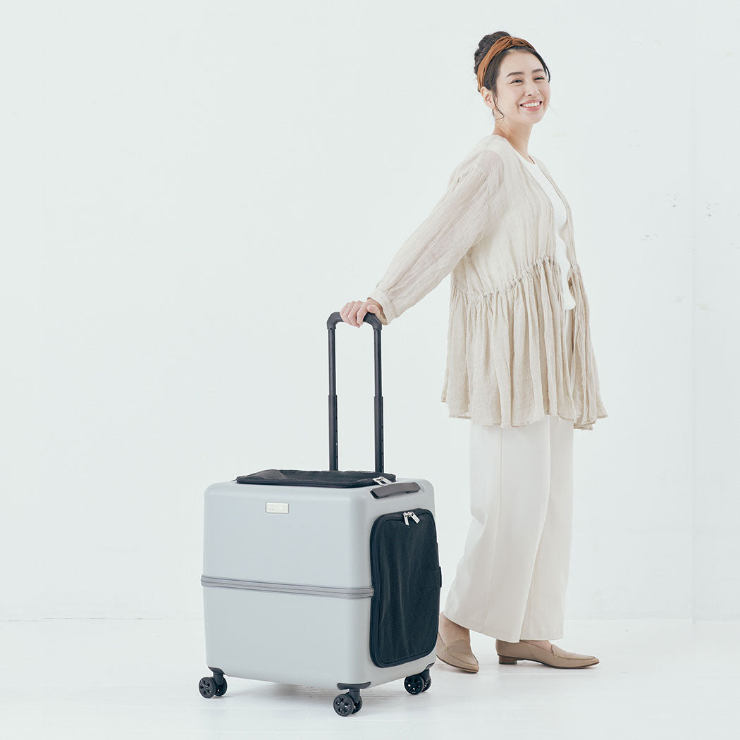 PETiCO 3001 iCO Sturdy and Versatile Pet luggage-style Carrier, L