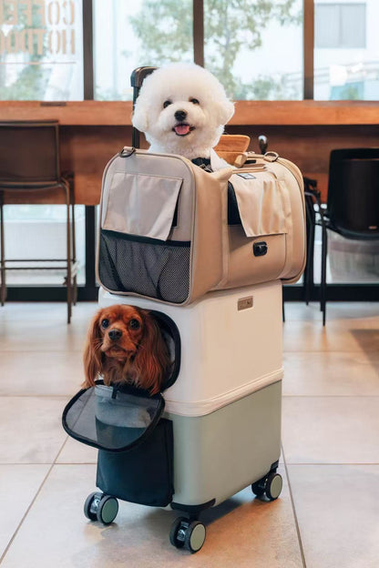 PETiCO NOA 3003 Airline Approved Pet  Duffle Bag for Small Dogs & Cats Under 15 lbs, Sturdy & Machine Washable  with Magnetic Snaps, Medium Size
