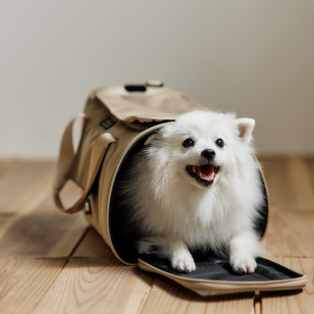 PETiCO NOA 3003 Airline Approved Pet  Duffle Bag for Small Dogs & Cats Under 15 lbs, Sturdy & Machine Washable  with Magnetic Snaps, Medium Size