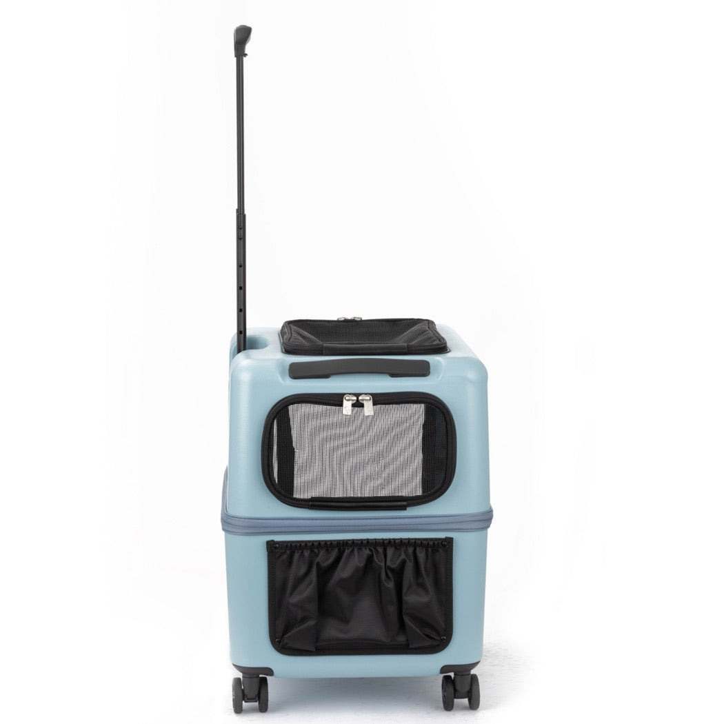 PETiCO 3001 iCO Sturdy and Versatile Pet luggage-style Carrier, L