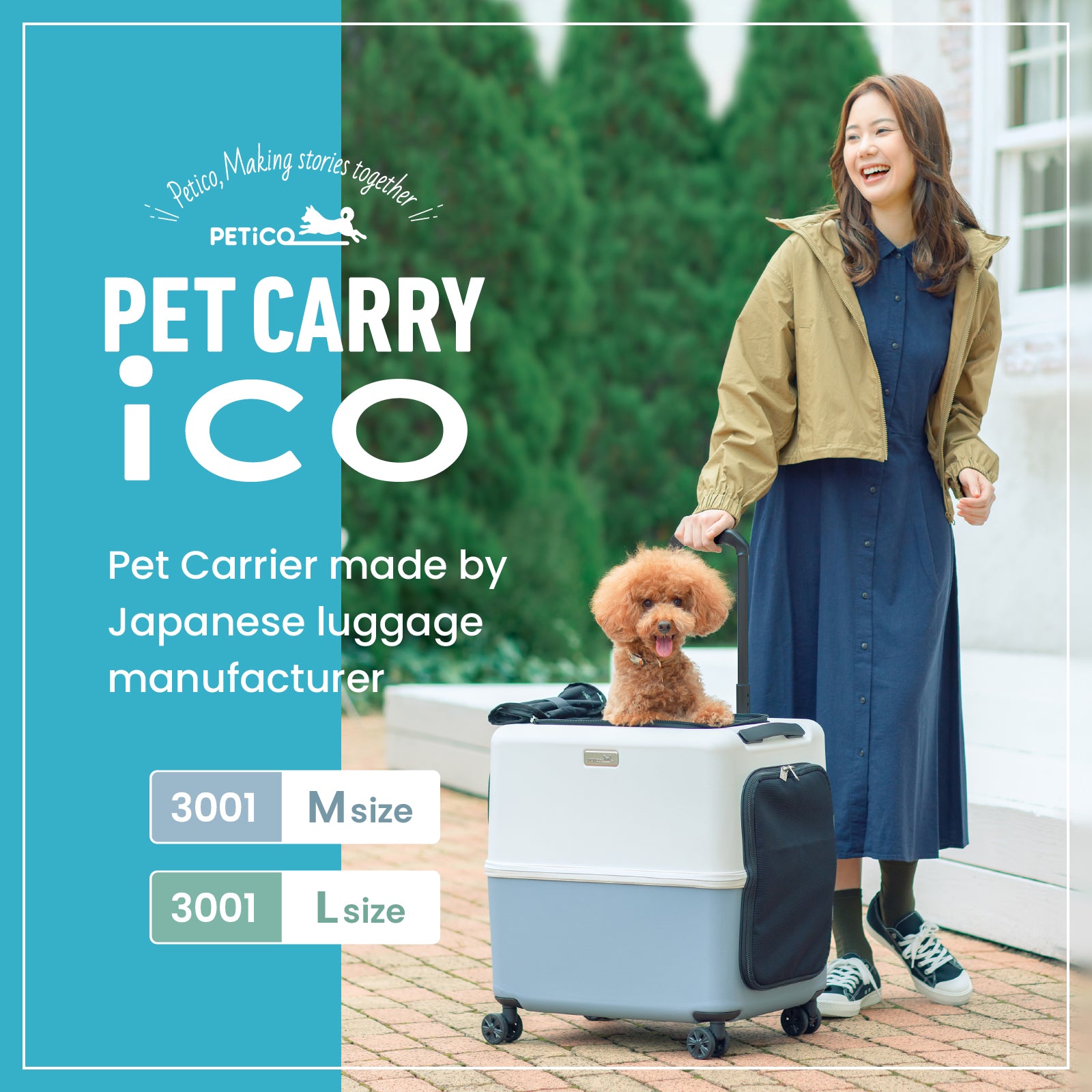 PETiCO 3001 iCO Sturdy and Versatile Pet luggage-style Carrier, L