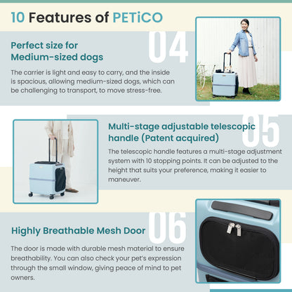 PETiCO 3001  iCO Sturdy and Versatile Pet luggage-style Carrier,23-in